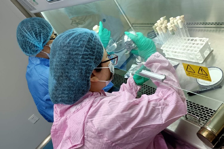 微信图片_20200527162819.jpg 微信图片_20200527162819.jpg