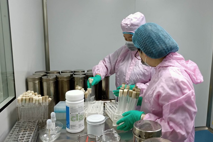 微信图片_20200527162831.jpg 微信图片_20200527162831.jpg