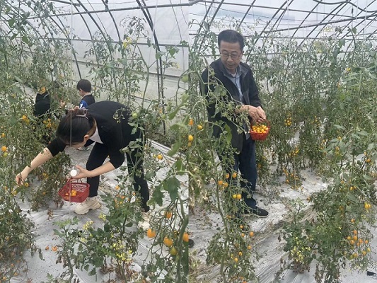 0318dd4264788ff2afff73ab5e13a2e.jpg 0318dd4264788ff2afff73ab5e13a2e.jpg