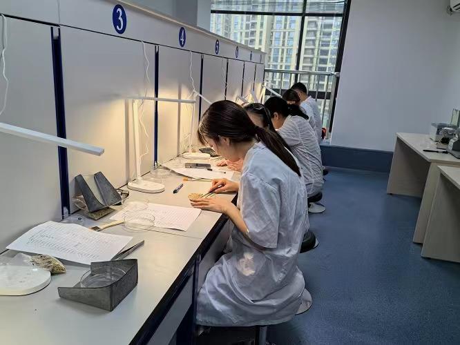 微信图片_20240628100337.jpg 微信图片_20240628100337.jpg